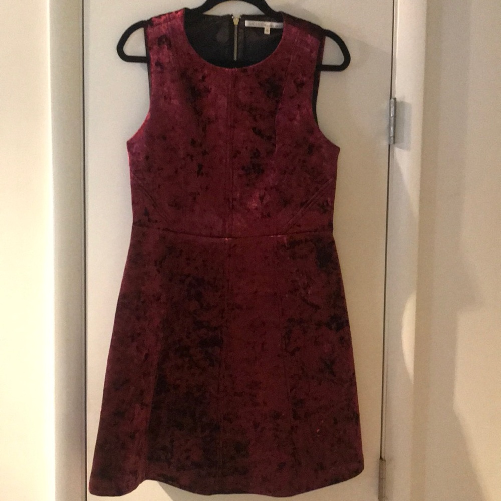 Rachel Roy Velour Dress